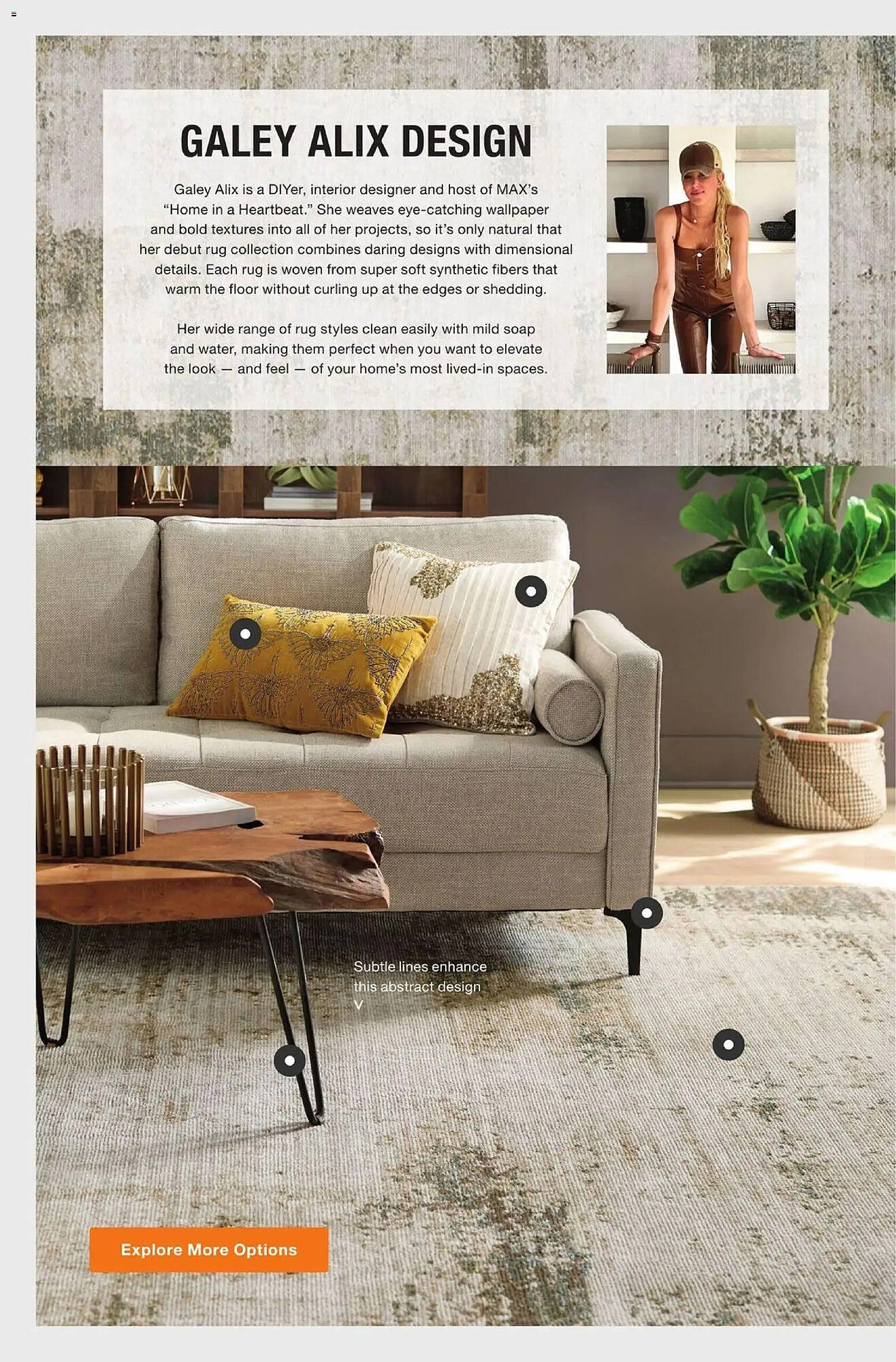 The Home Depot flyer