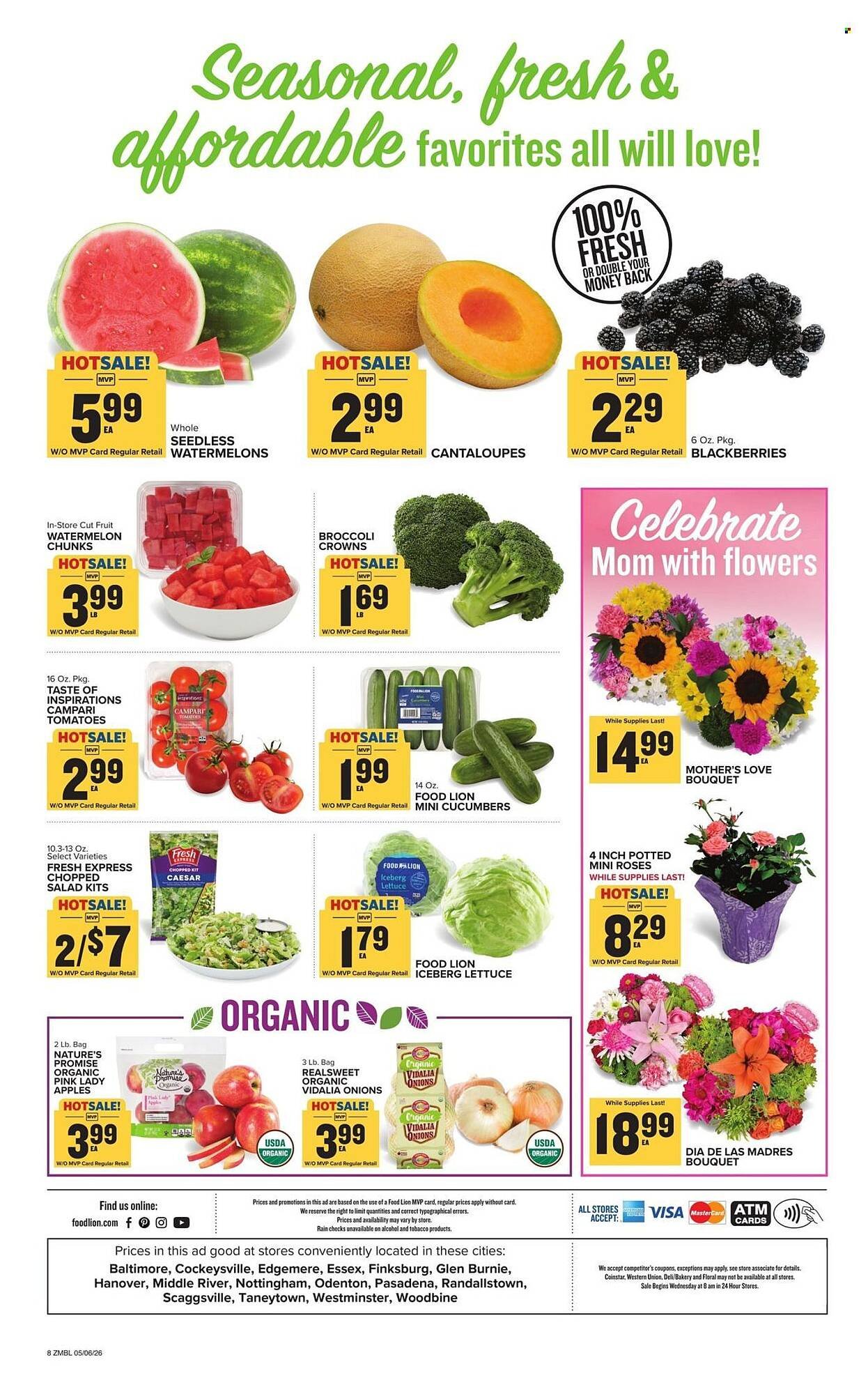 Food Lion weekly ad