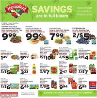 Hannaford flyer