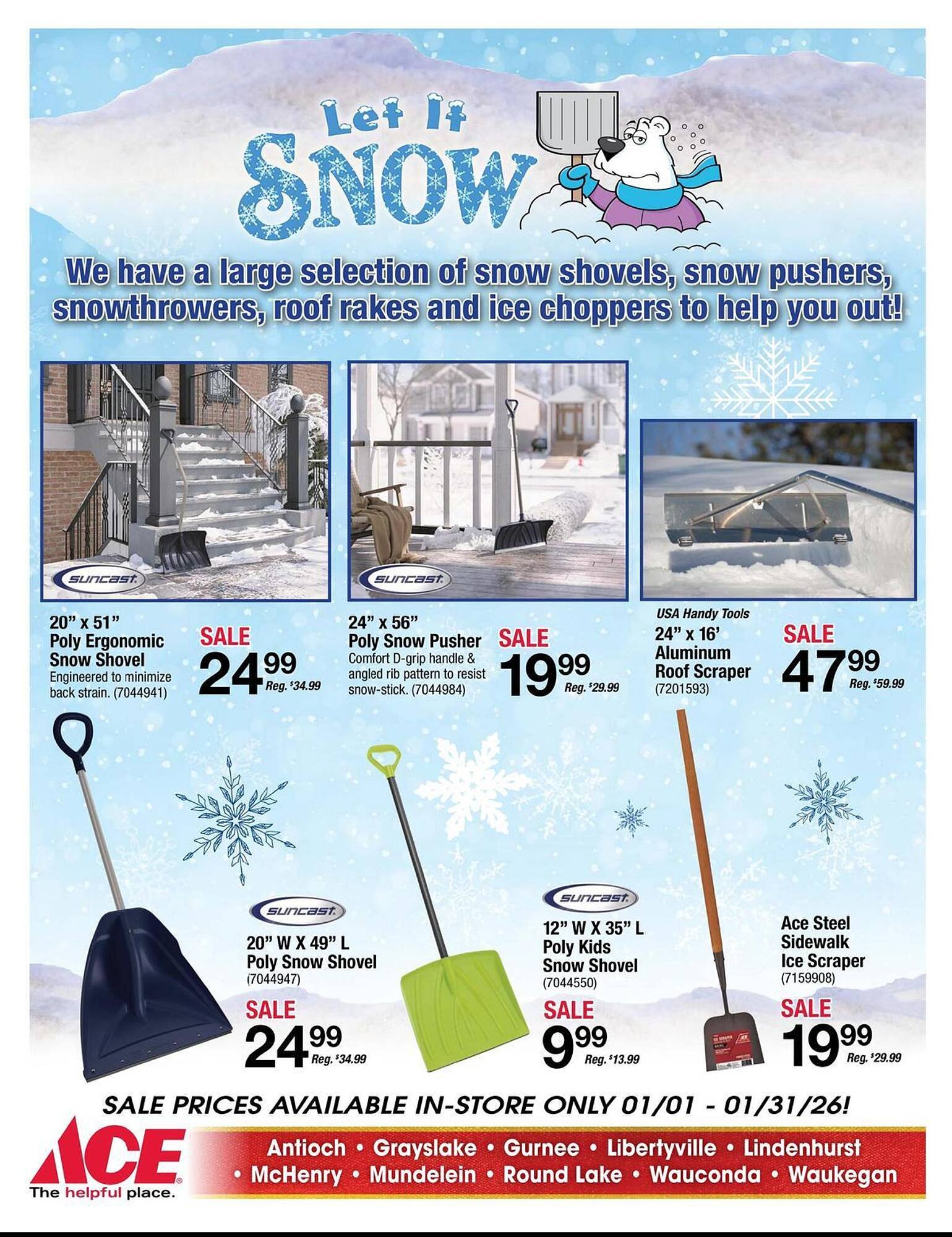 Ace Hardware flyer