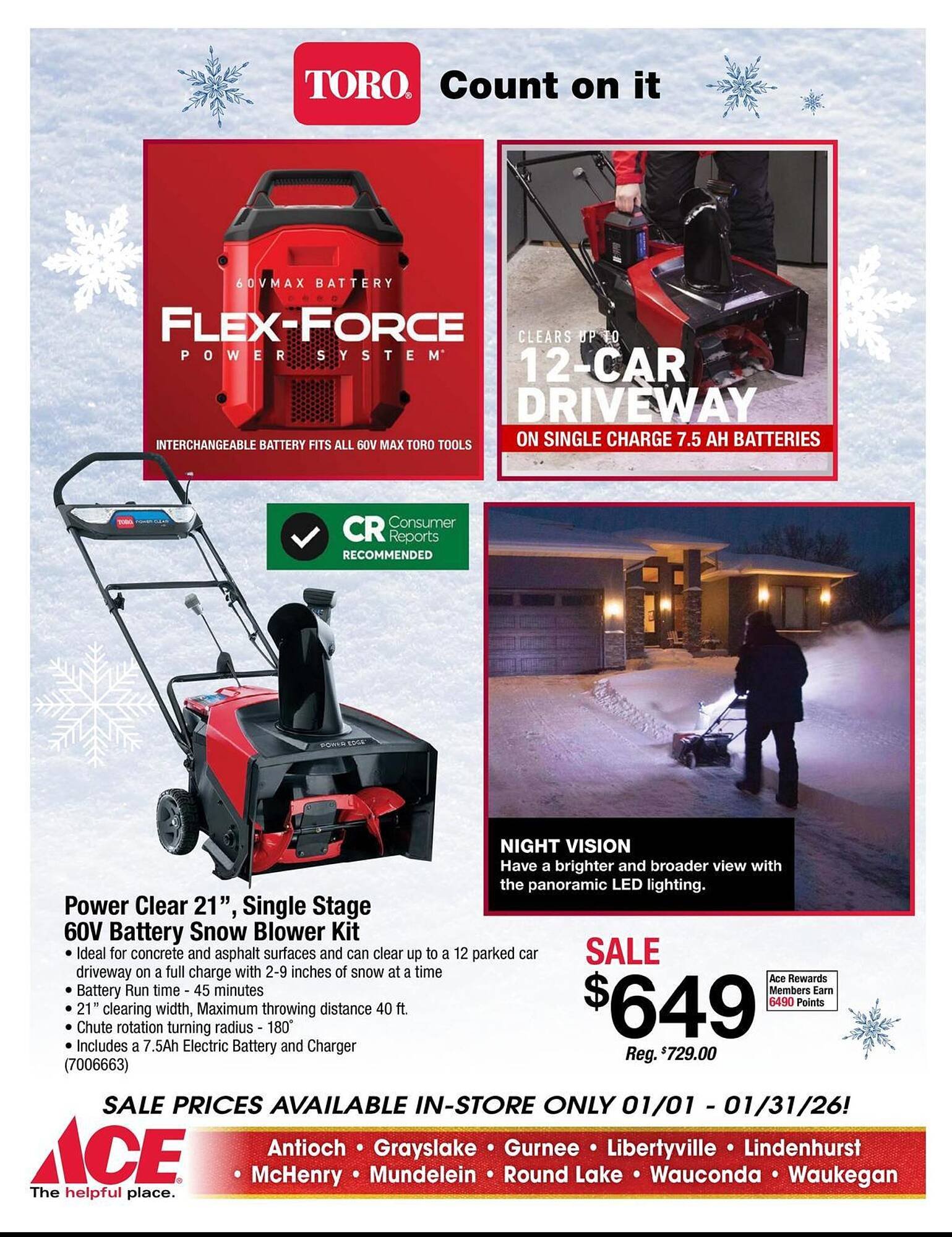 Ace Hardware flyer