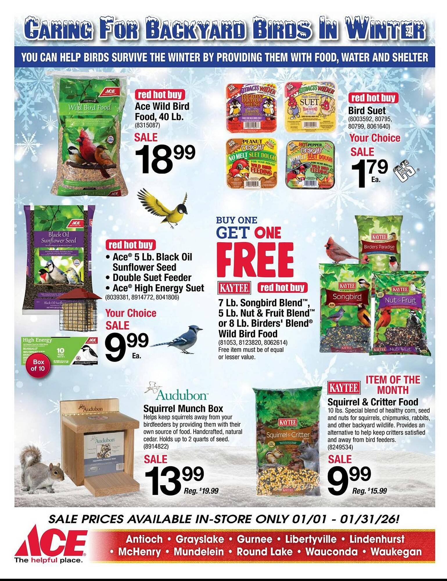 Ace Hardware flyer