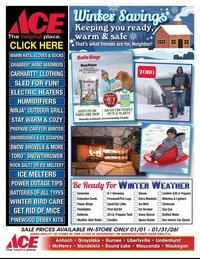 Ace Hardware flyer