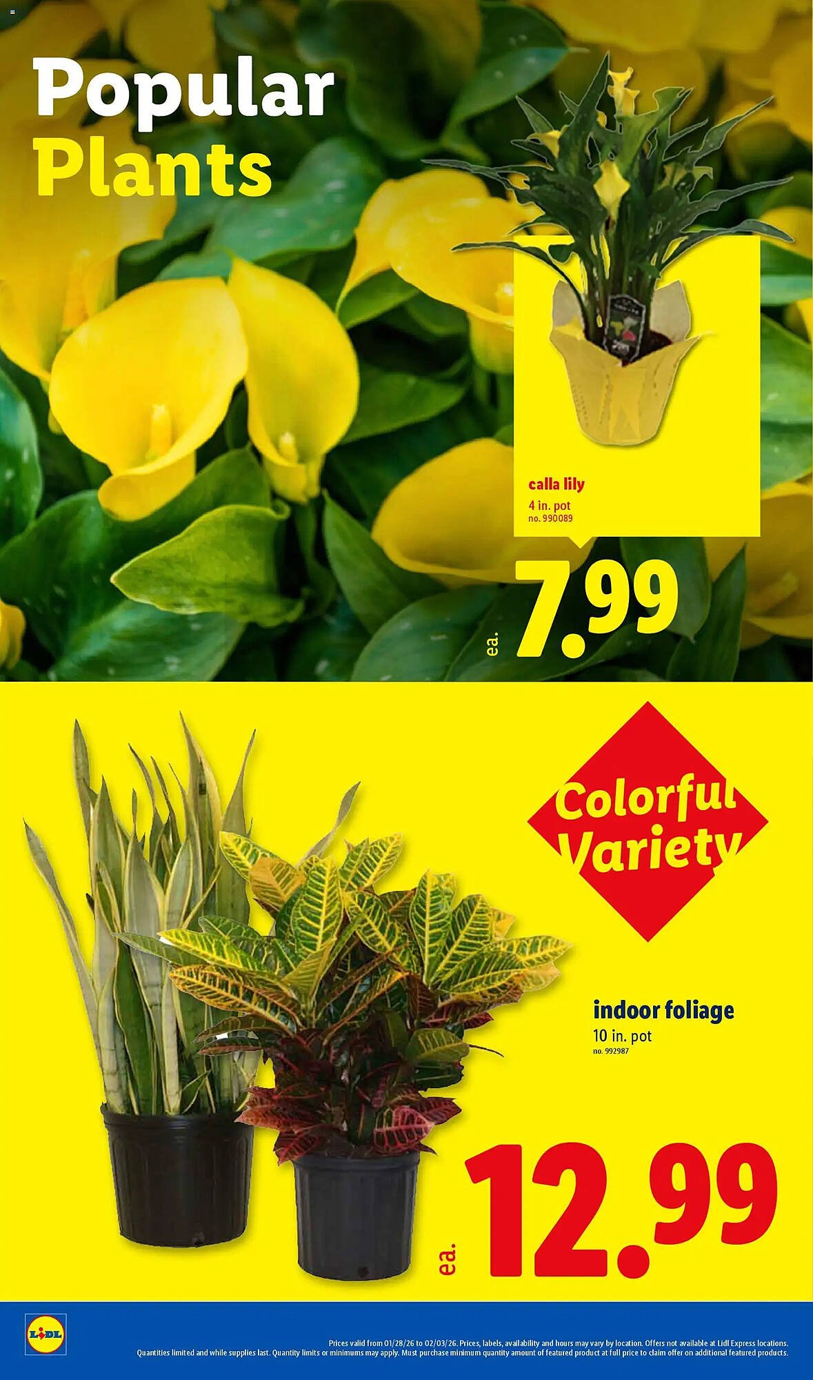 Lidl weekly ad