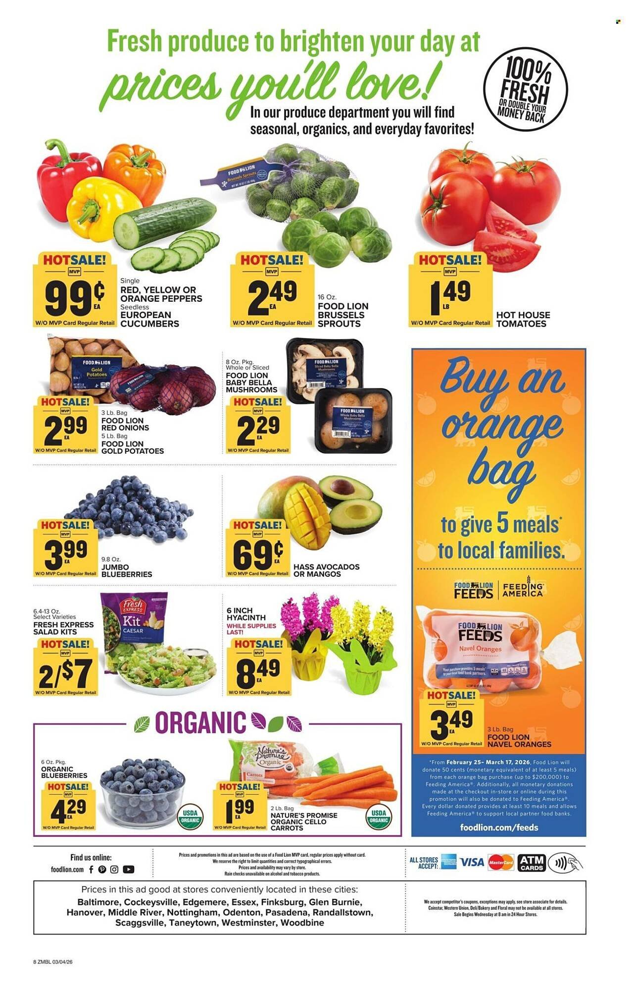 Food Lion weekly ad