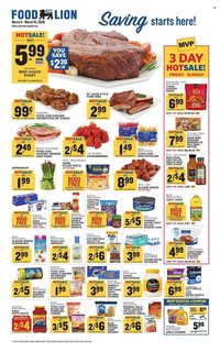 Food Lion weekly ad