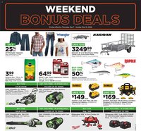 Mills Fleet Farm weekly ad