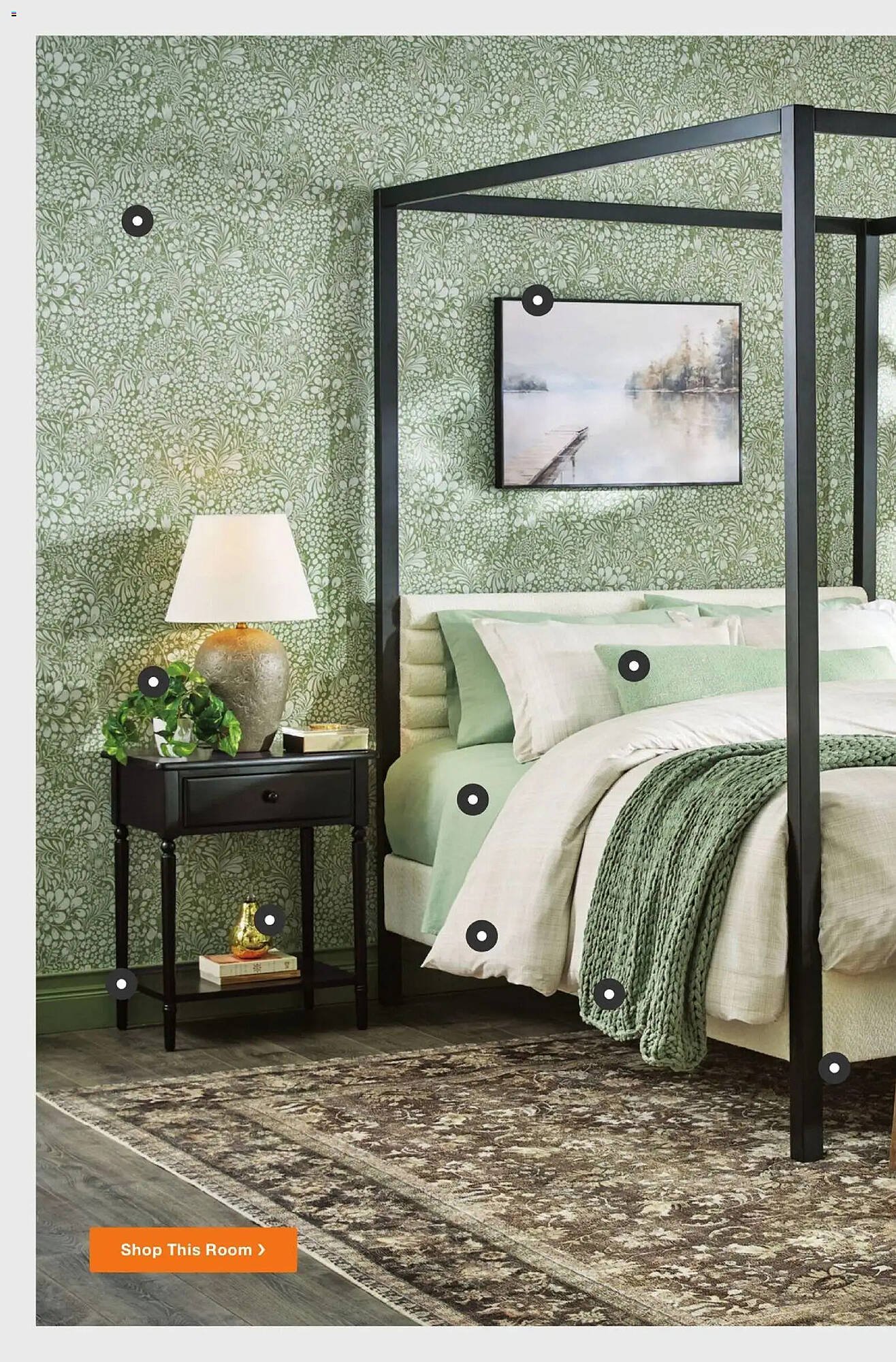 The Home Depot flyer