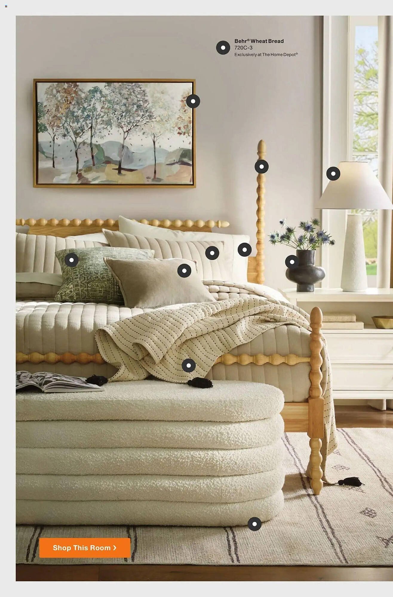 The Home Depot flyer