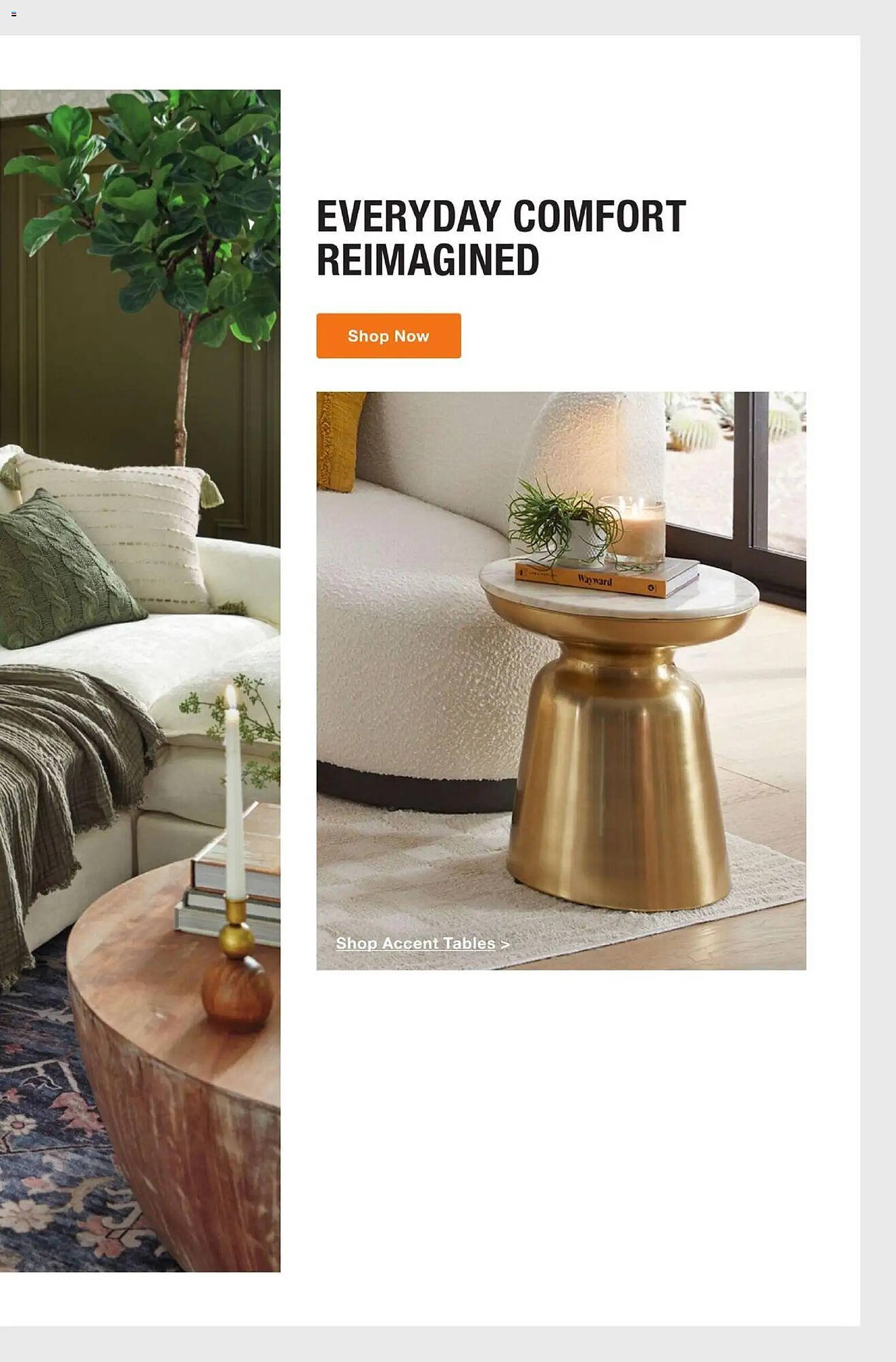 The Home Depot flyer