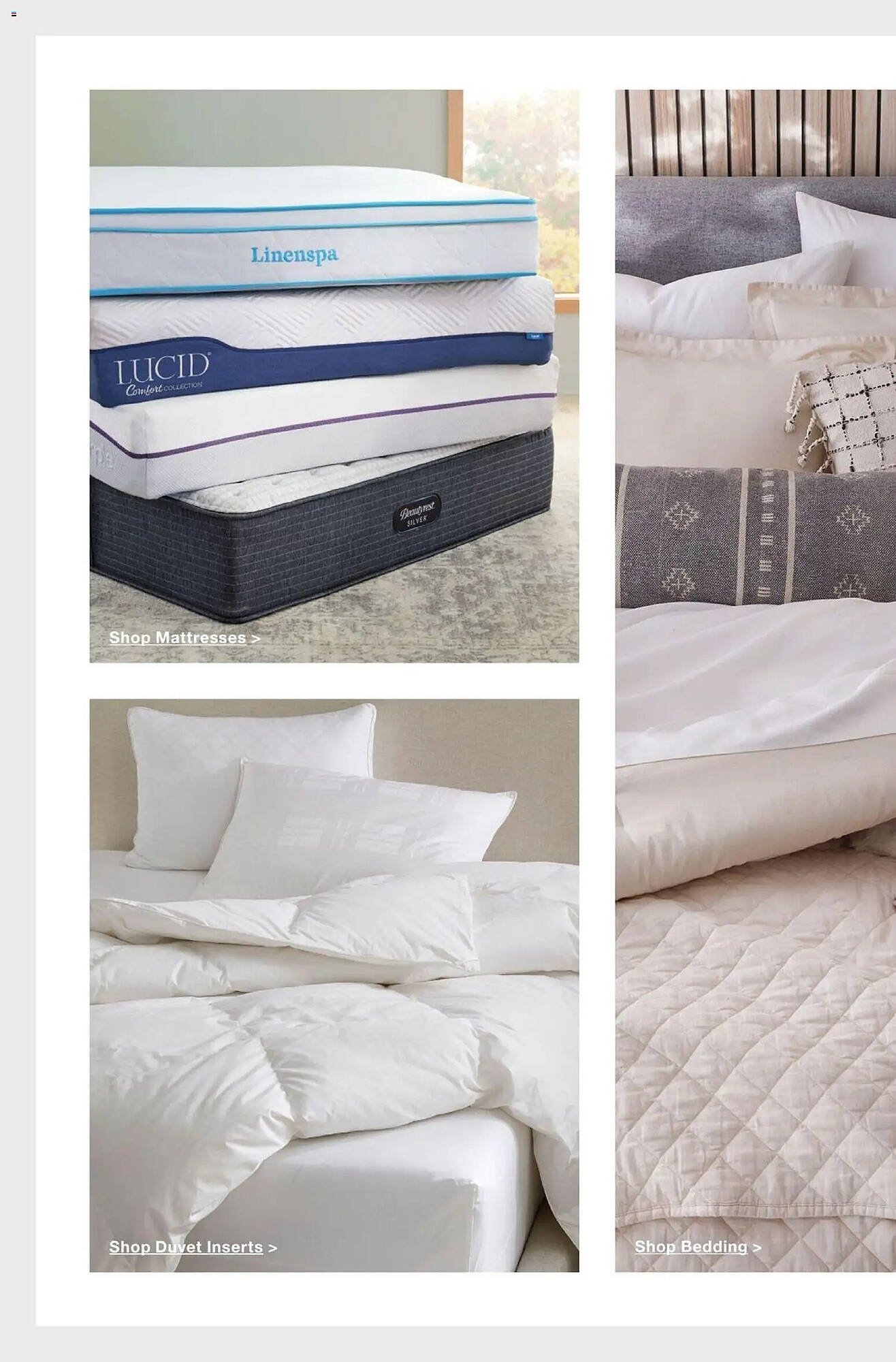 The Home Depot flyer