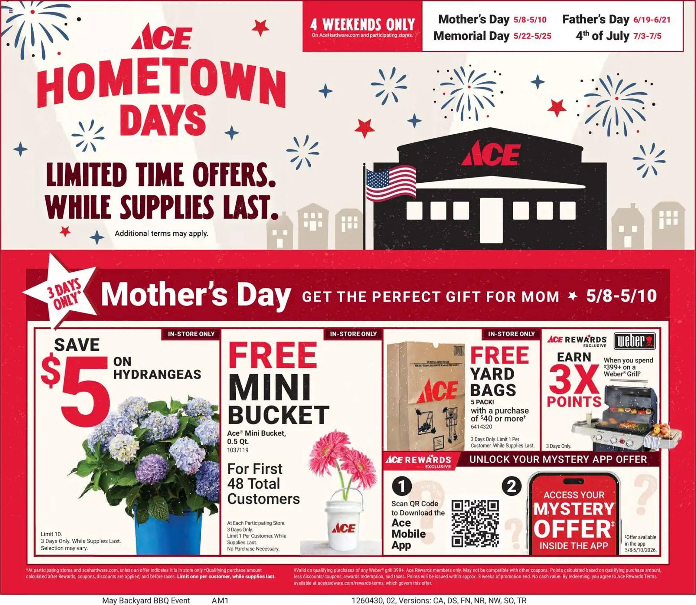 Ace Hardware flyer
