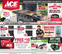 Ace Hardware flyer