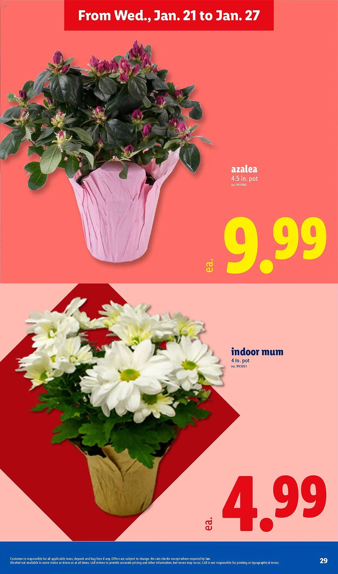 Lidl weekly ad