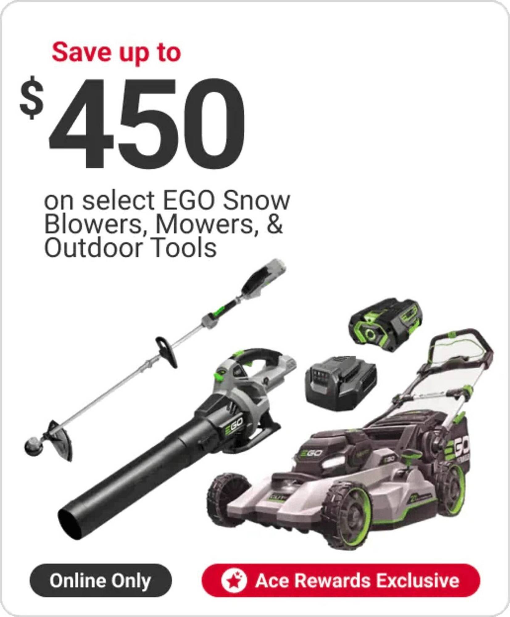 Ace Hardware flyer