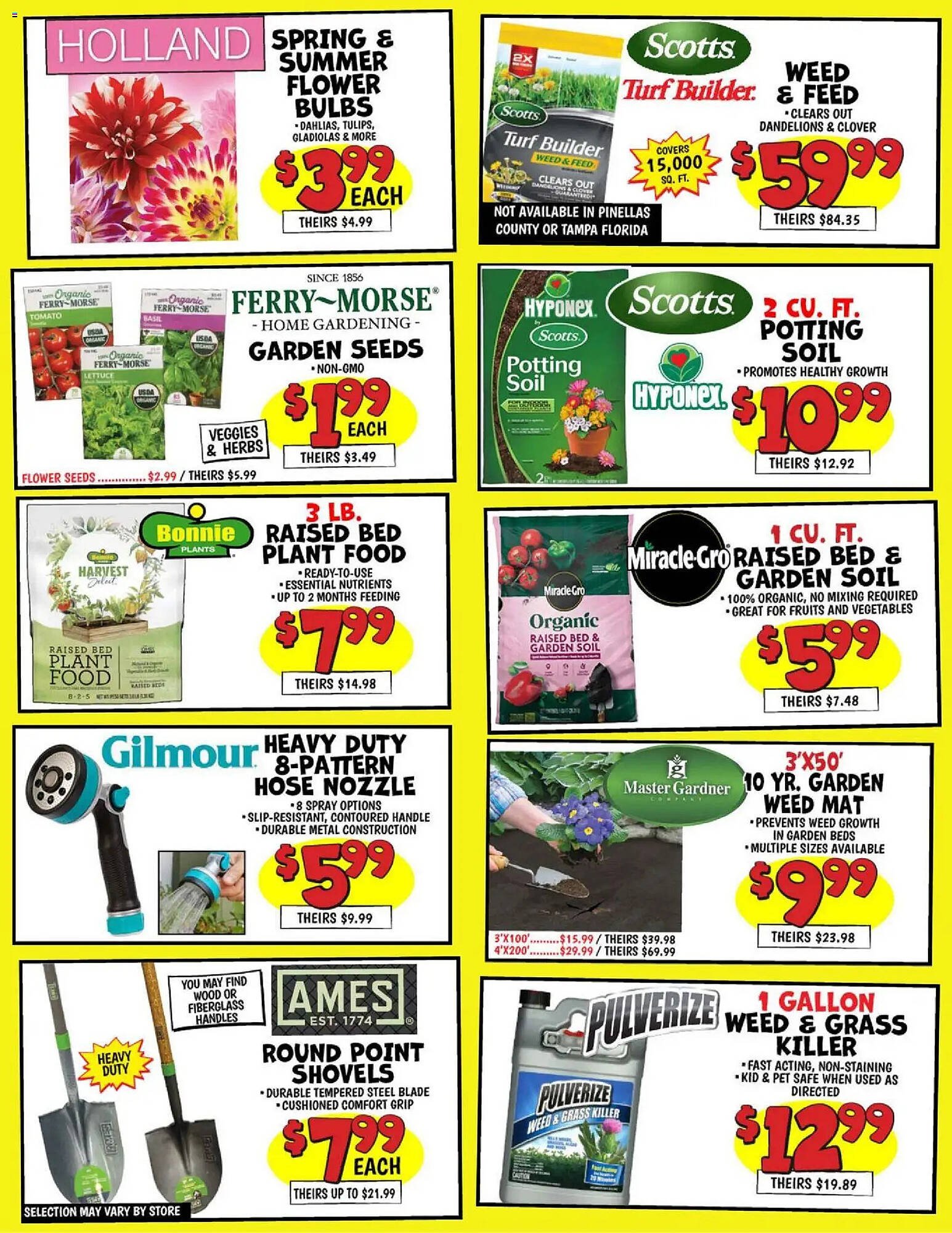 Ollie's weekly ad