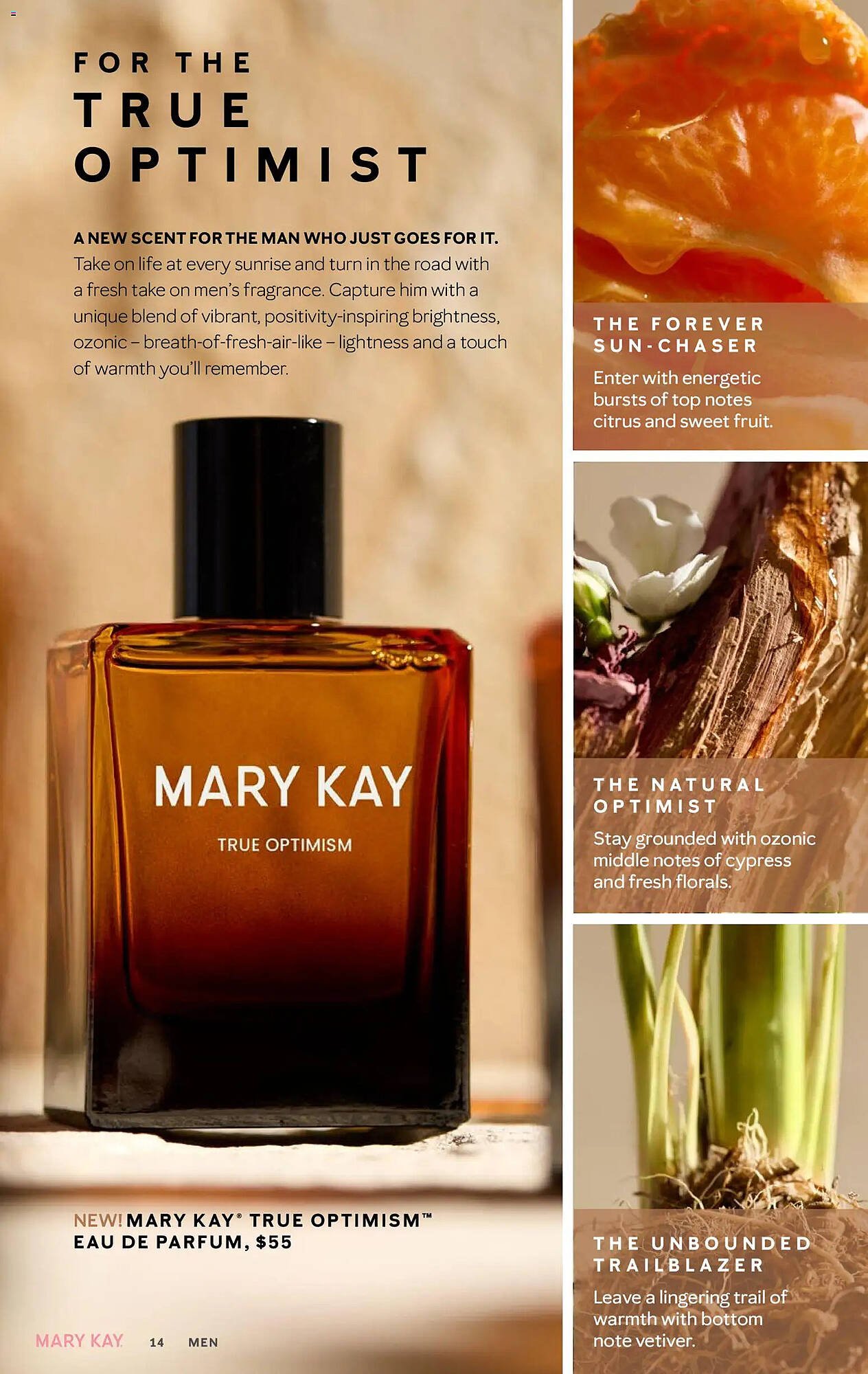 Mary Kay weekly ad