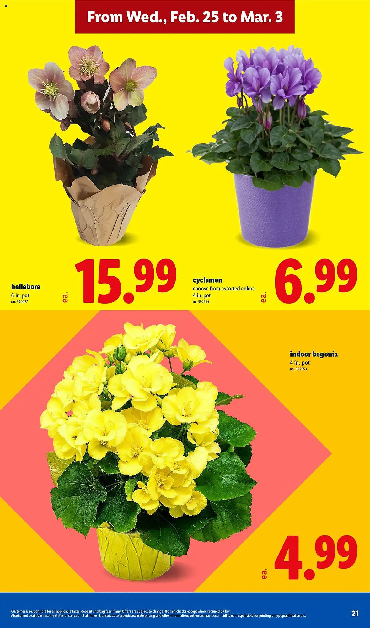 Lidl weekly ad