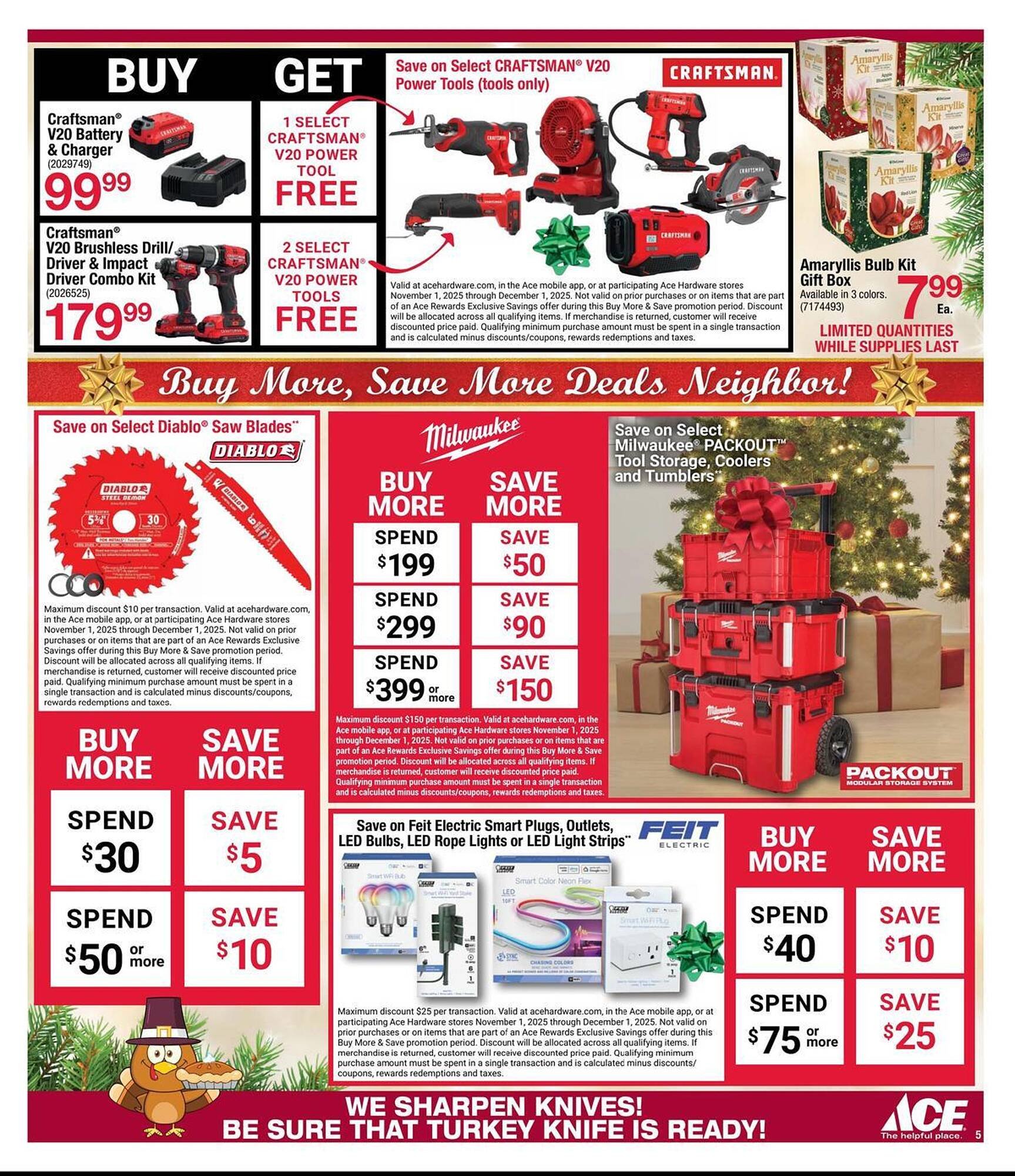 Ace Hardware flyer (2025-11-04 - 2025-11-17) | 5
