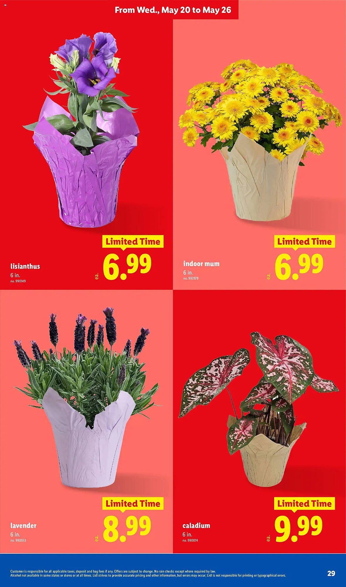 Lidl weekly ad