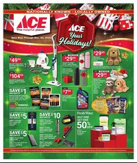Ace Hardware flyer