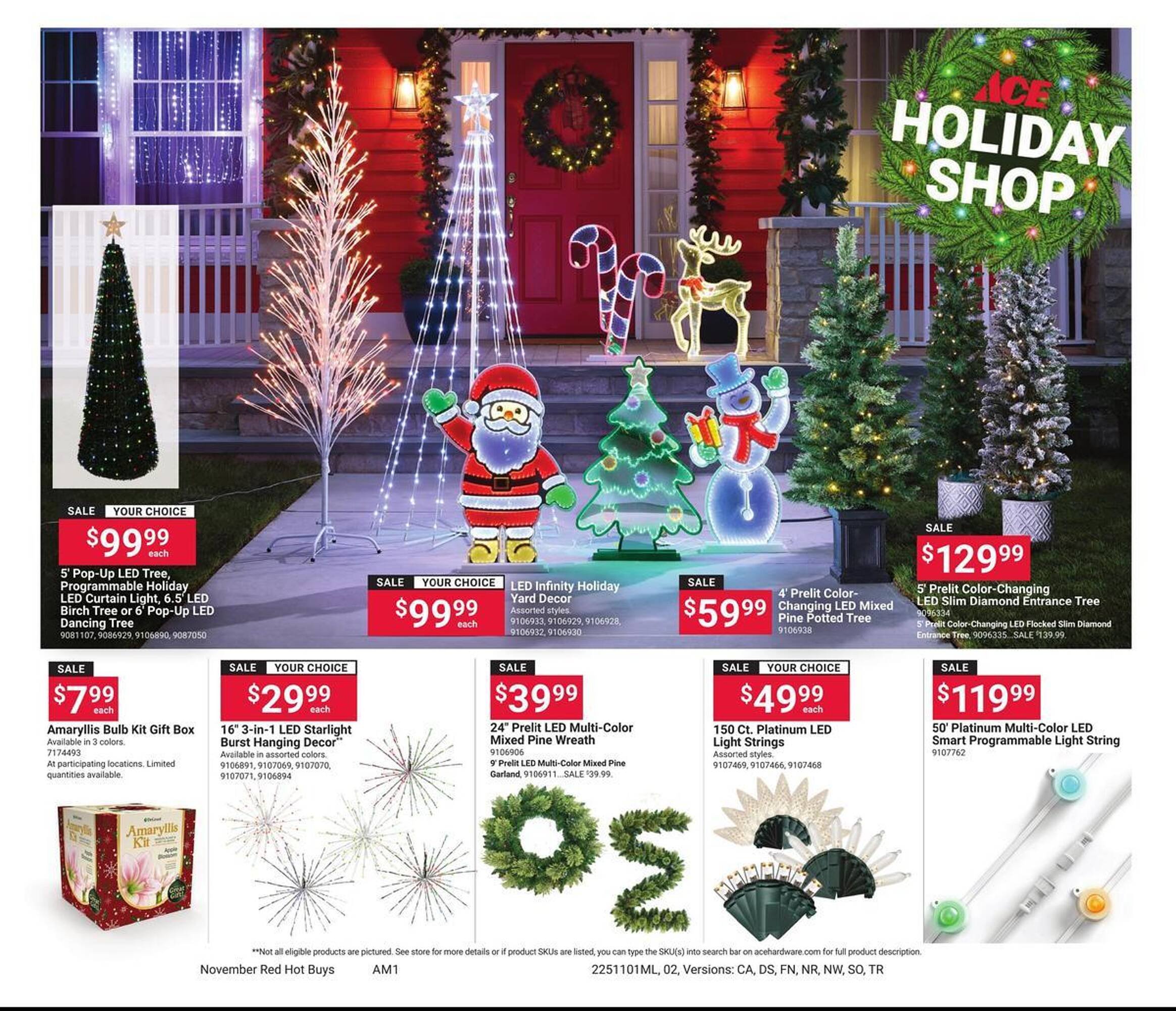 Ace Hardware flyer (2025-11-01 - 2025-12-01) | 2