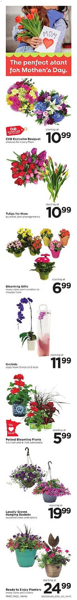 Cub Foods weekly ad