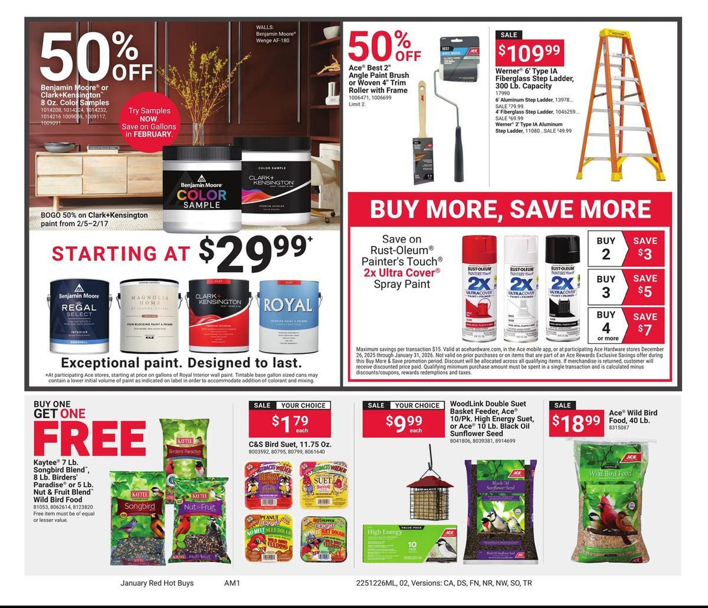 Ace Hardware flyer