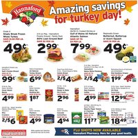Hannaford flyer