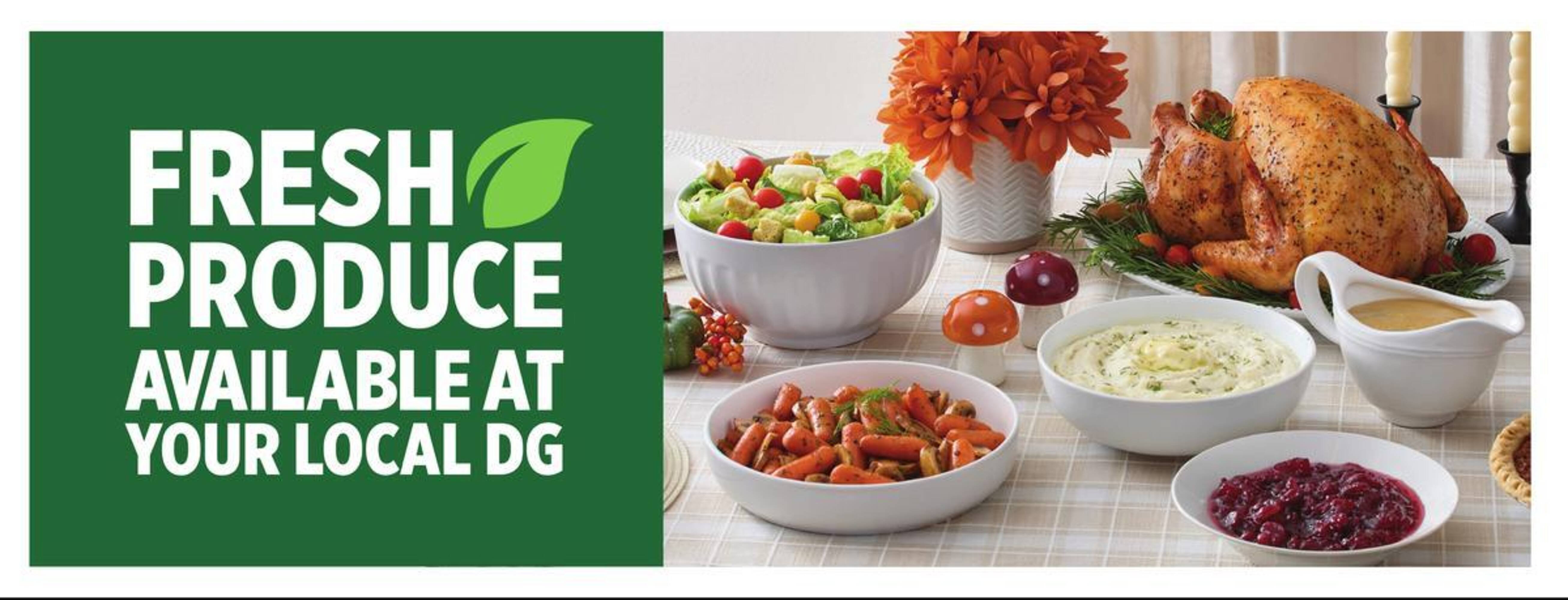 Dollar General weekly ad (2025-11-23 - 2025-11-29)