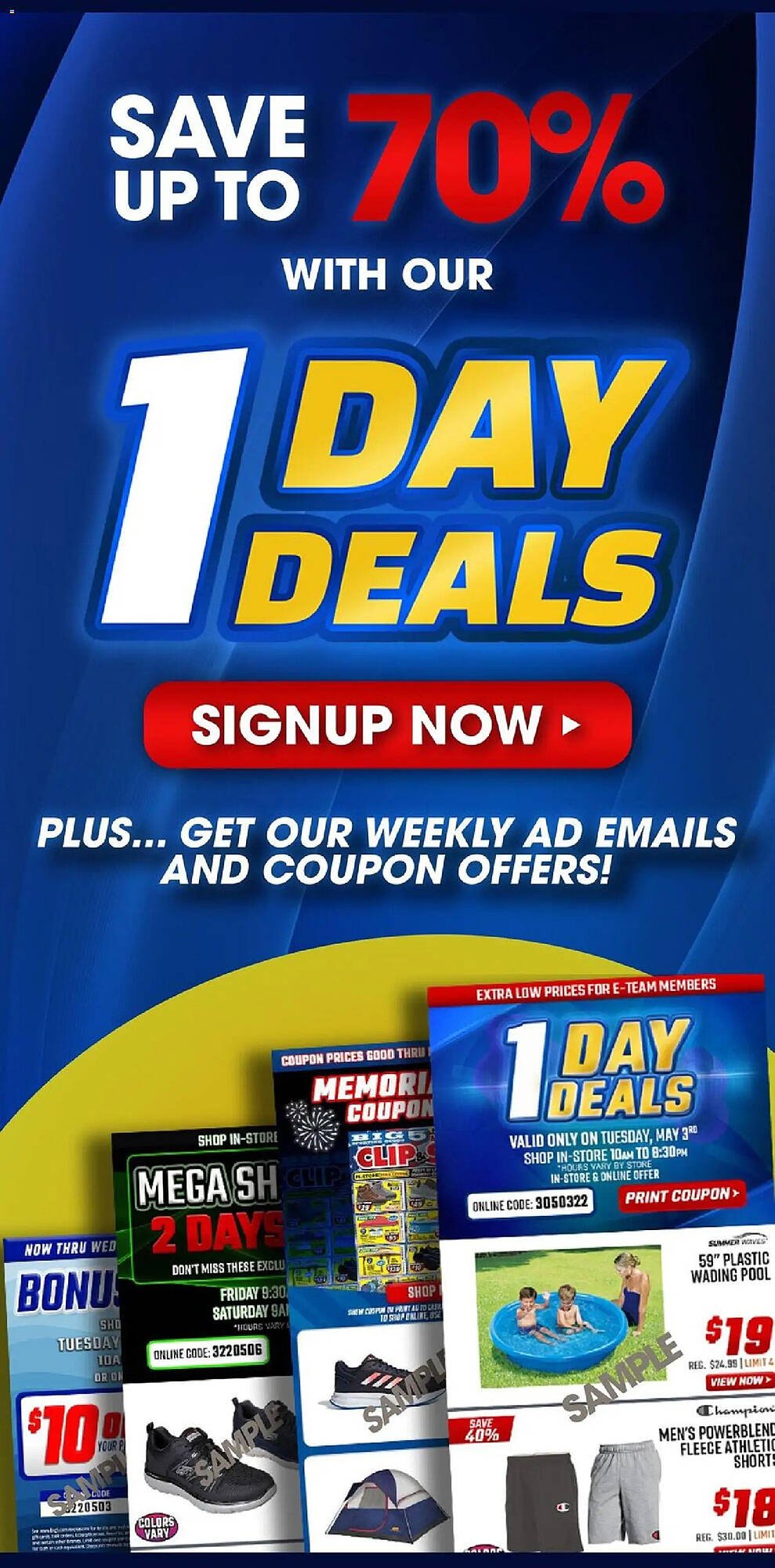 Big 5 weekly ad