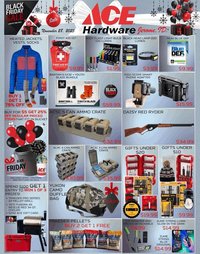 Ace Hardware flyer