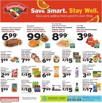 Hannaford flyer