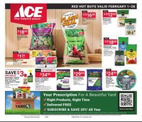 Ace Hardware flyer