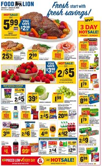 Food Lion weekly ad