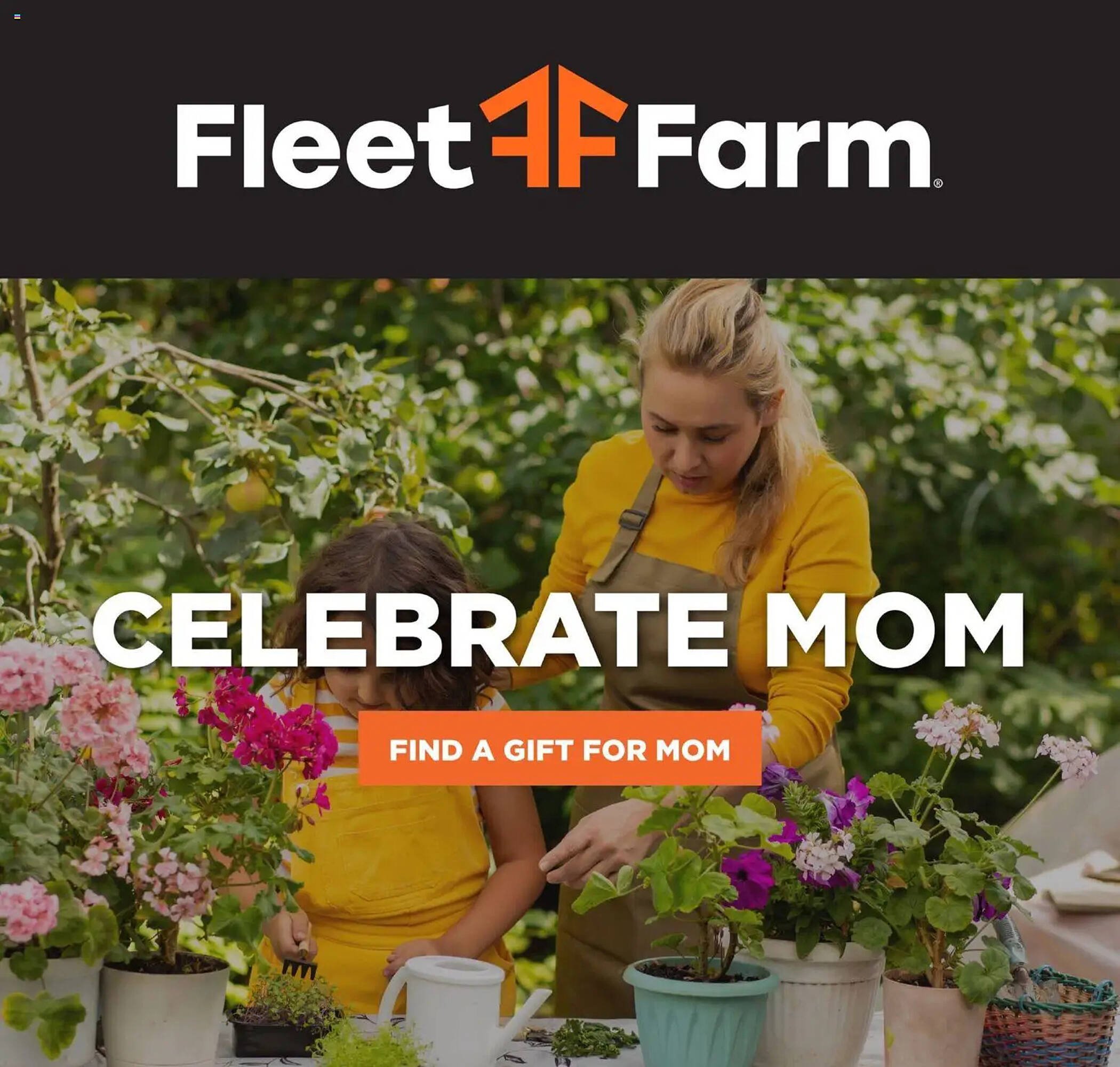 Mills Fleet Farm weekly ad