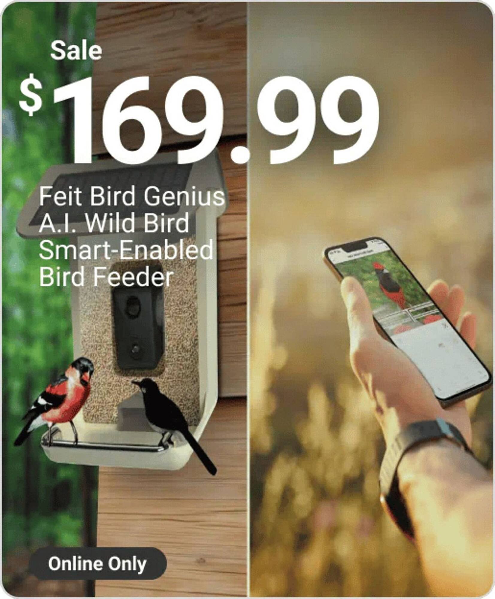 Ace Hardware flyer (2025-11-01 - 2025-11-07) | 28