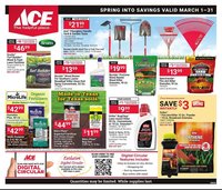 Ace Hardware flyer