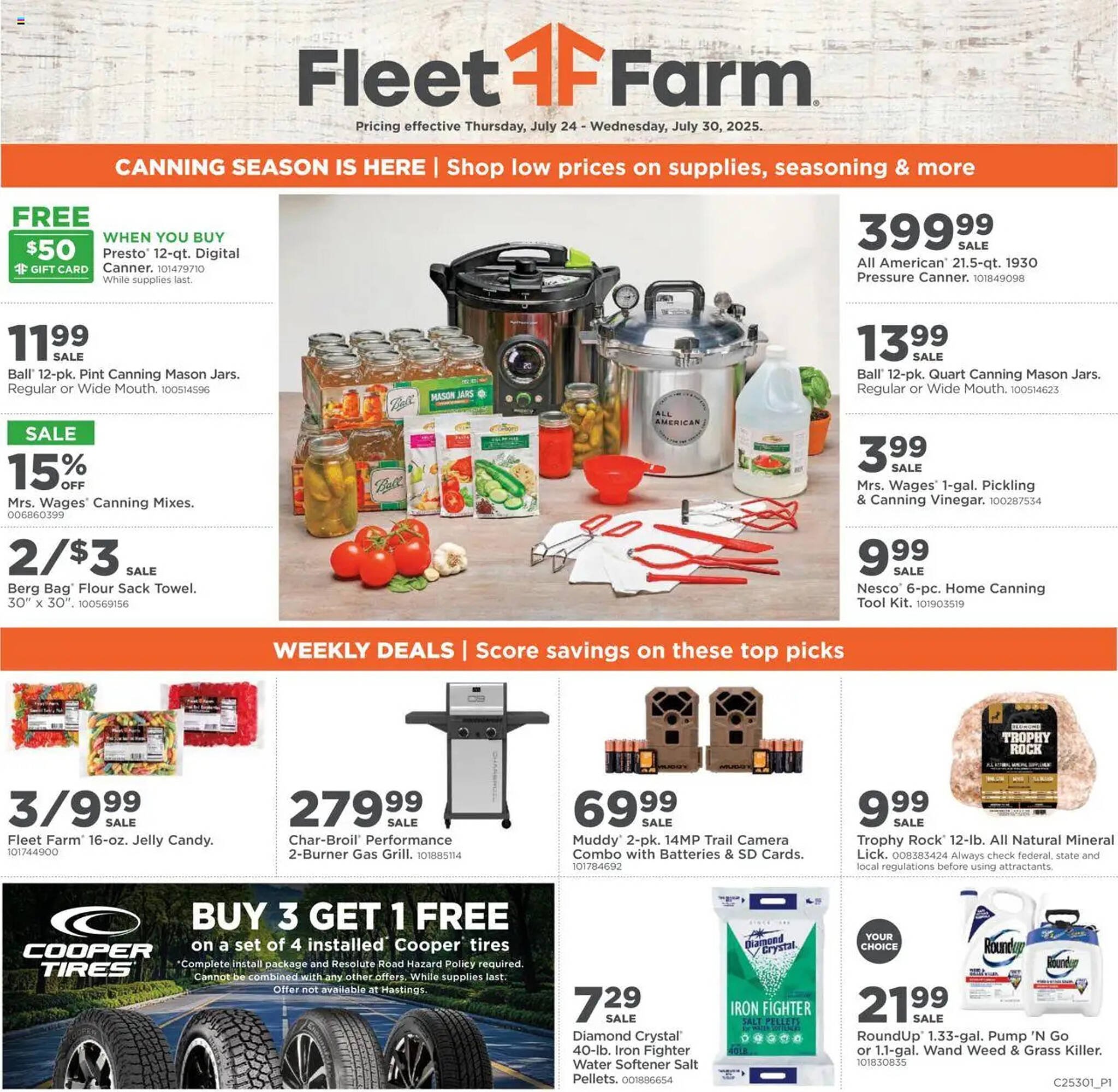 Mills Fleet Farm Weekly Ad (2025-07-24 - 2025-07-31) | 1