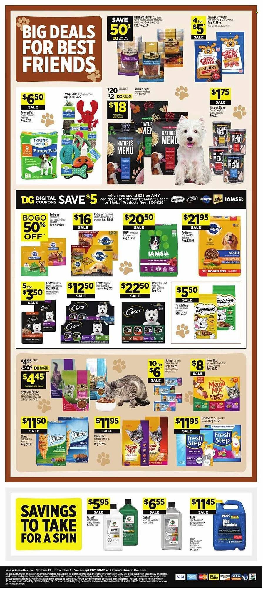Dollar General weekly ad (2025-10-30 - 2025-11-01) | 18