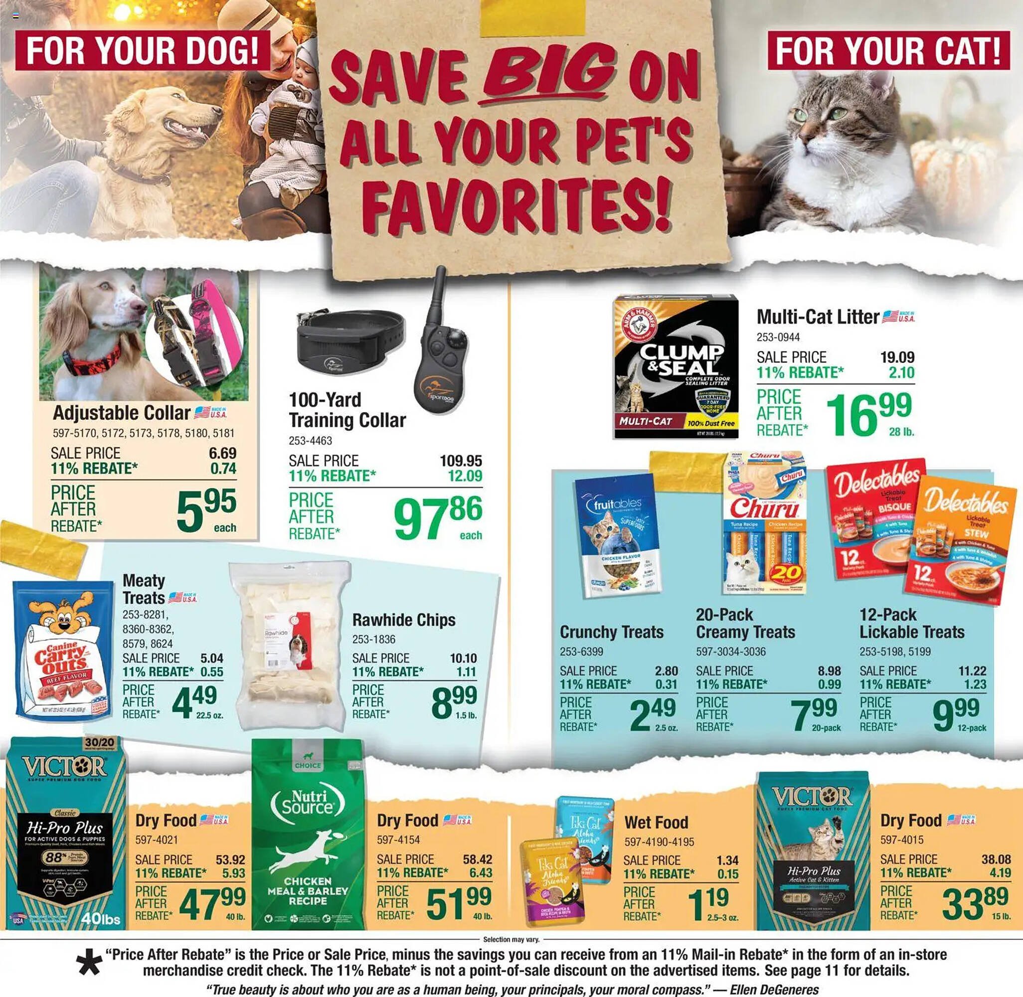 Menards weekly ad (2025-10-30 - 2025-11-09) | 19
