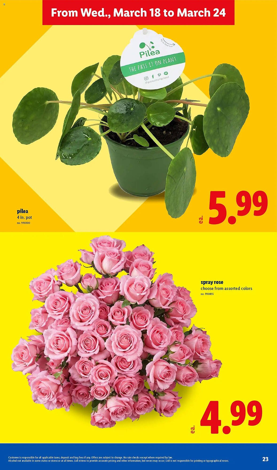 Lidl weekly ad
