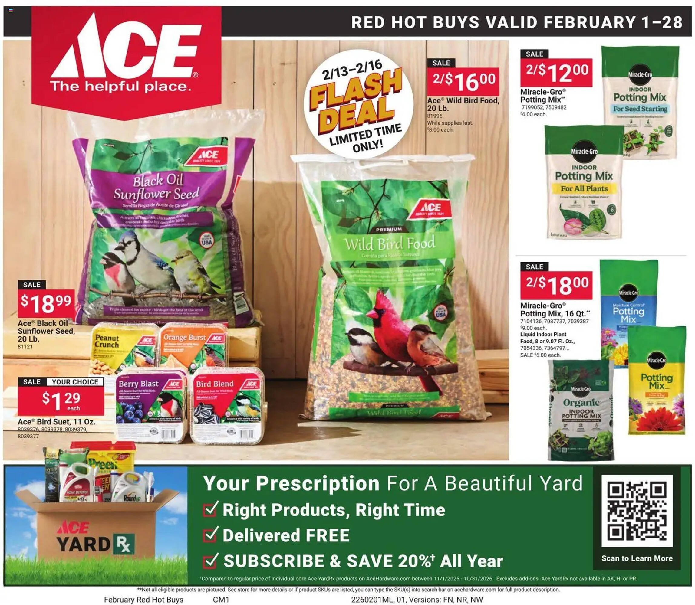 Ace Hardware flyer