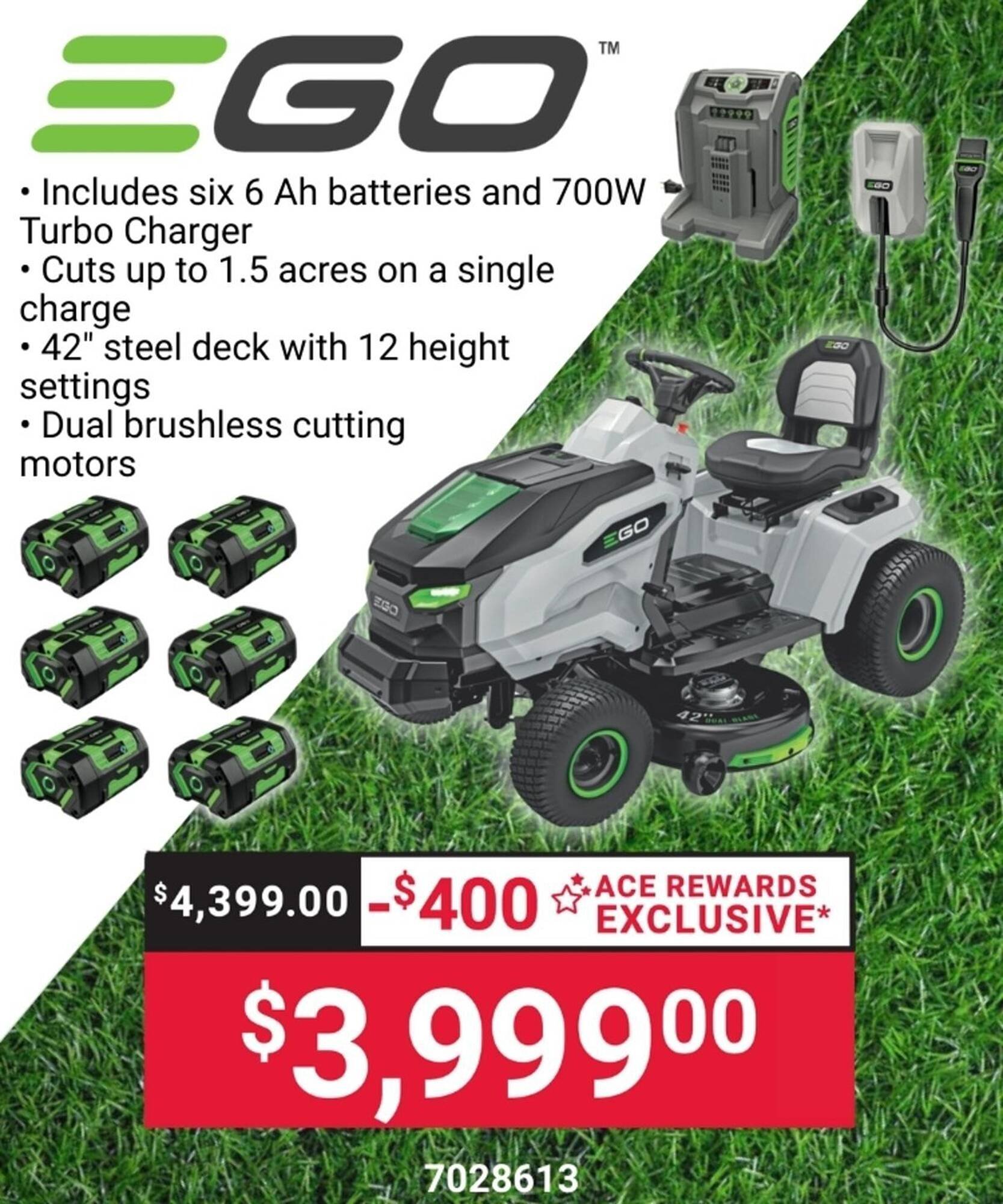 Ace Hardware flyer