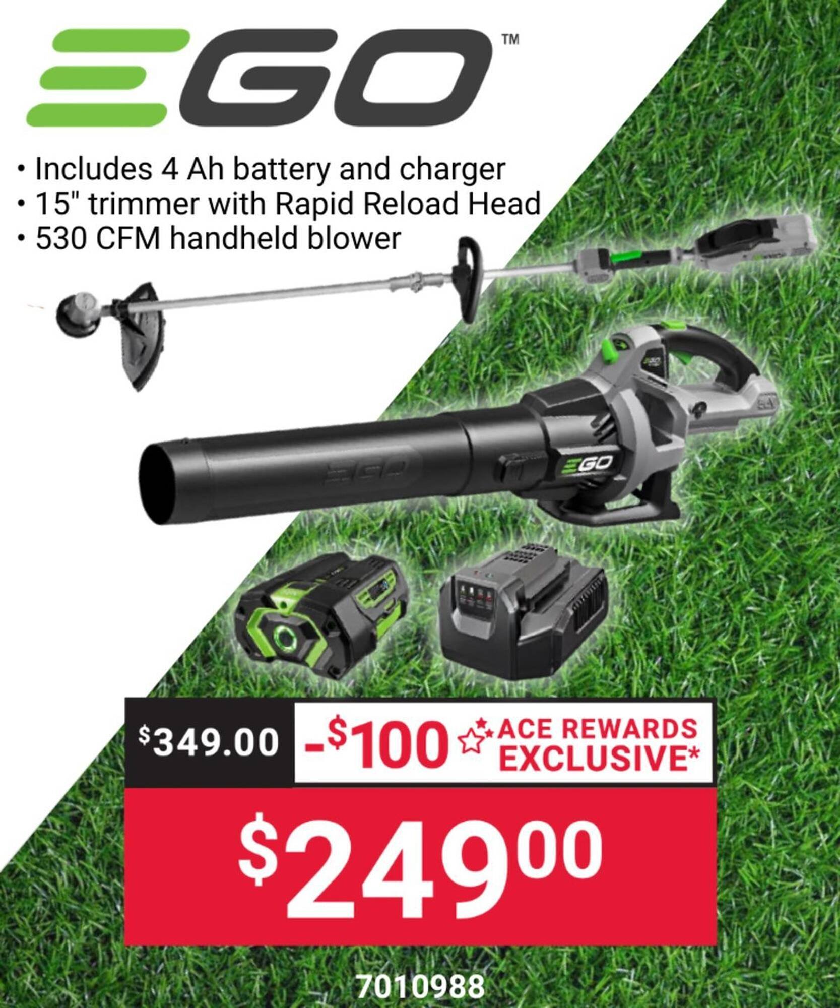 Ace Hardware flyer