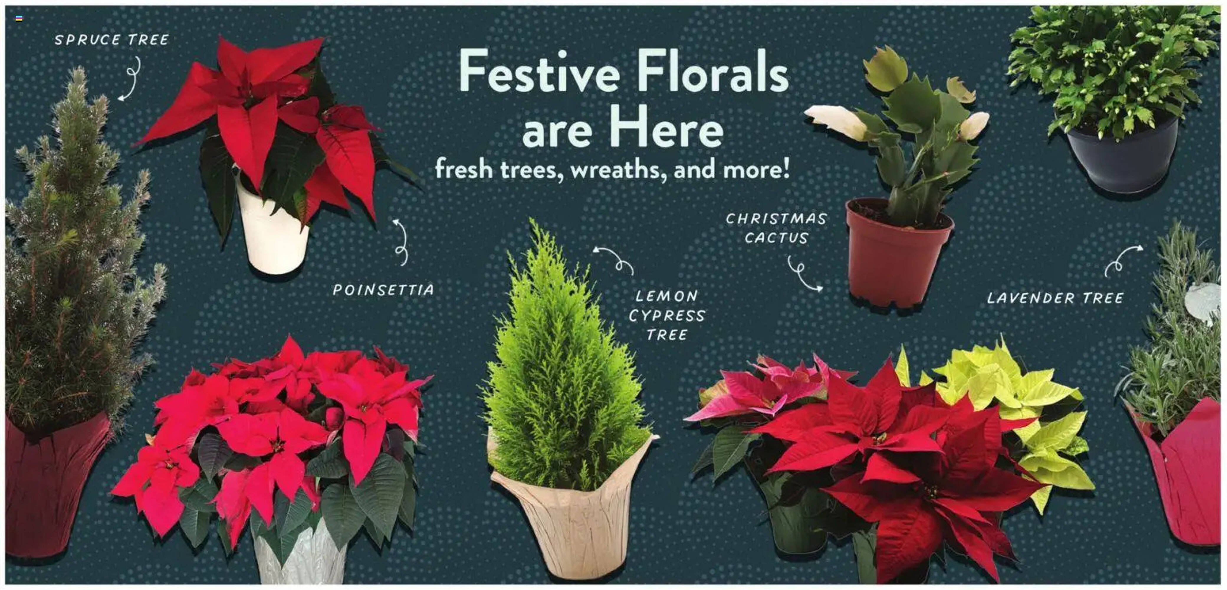 Fresh Thyme weekly ad