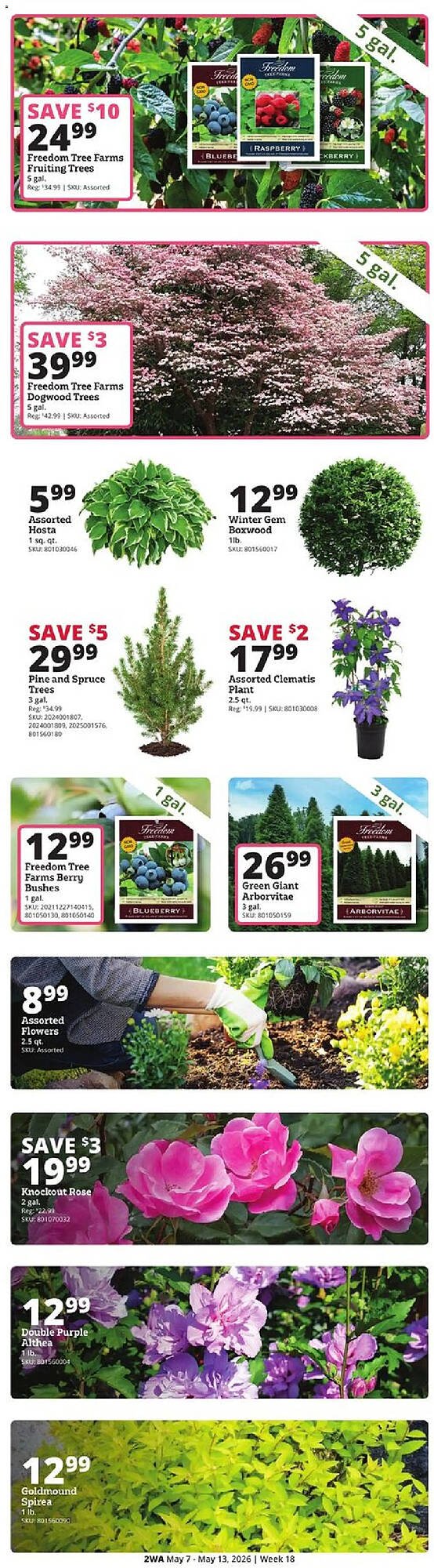 Rural King weekly ad