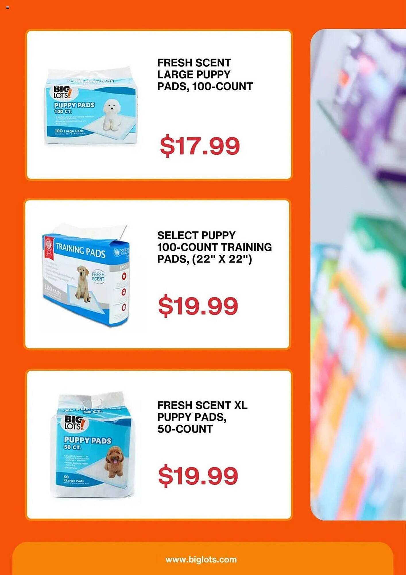 Big Lots Weekly Ad (2025-12-30 - 2026-01-06) | 3
