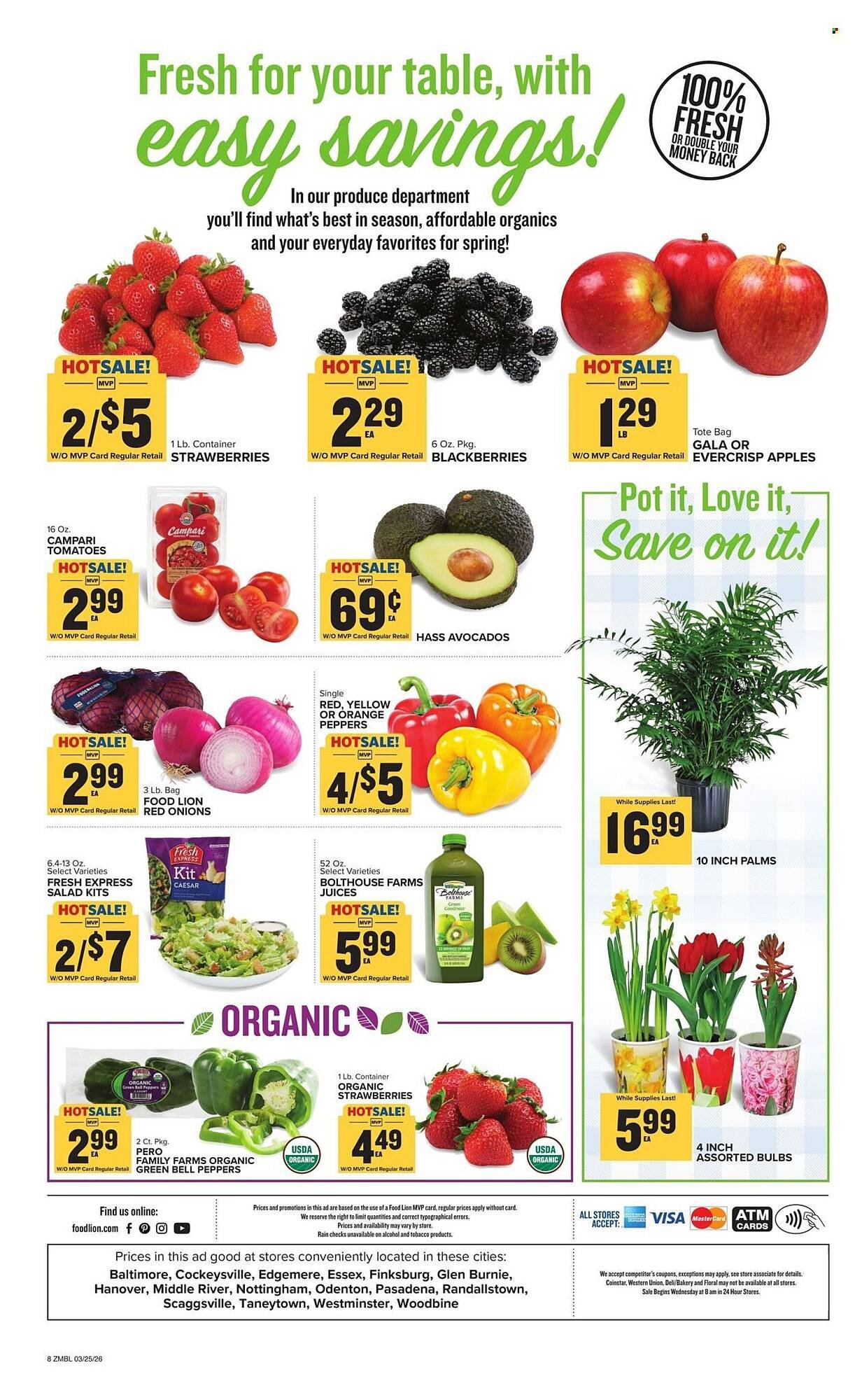 Food Lion weekly ad