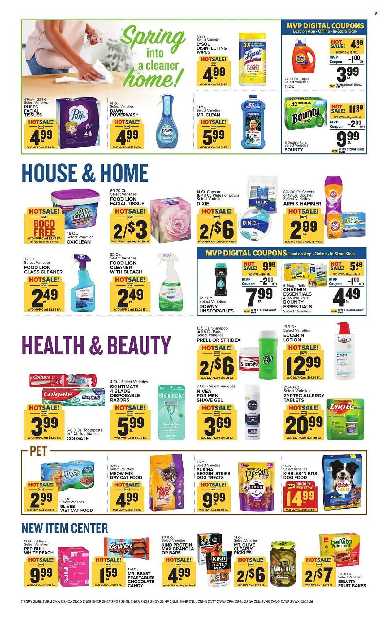 Food Lion weekly ad